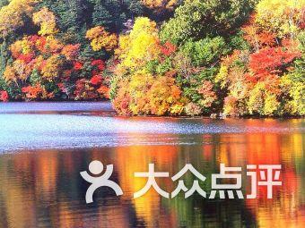 共建服务中心 打造高质量发展强引擎